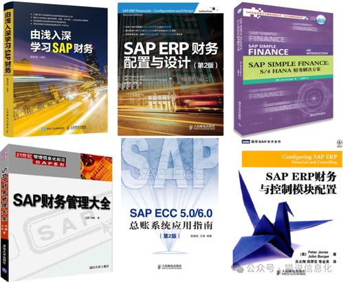 专业书视角下国内外ERP软件厂商的生态差异 以国内贸易代理行业为例